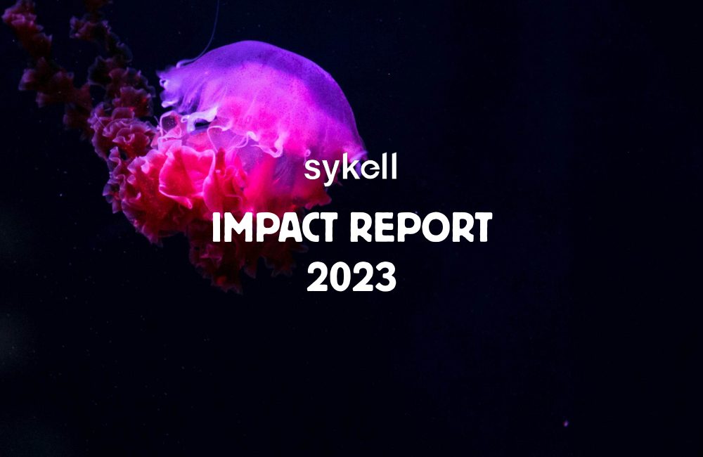 Cover of Impact Report 2023 | sykell