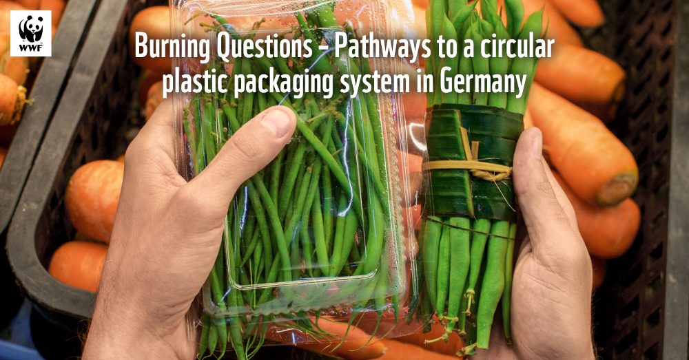 Cover of Pathways to a circular plastic packaging system in Germany