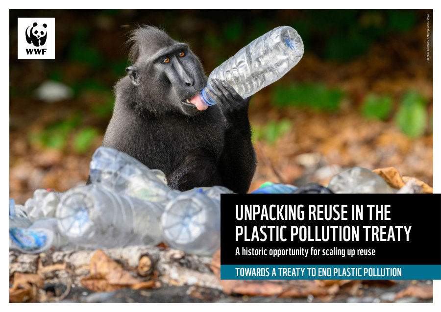 Cover of Unpacking Reuse in the Plastic Pollution Treaty: A historic opportunity for scaling up reuse